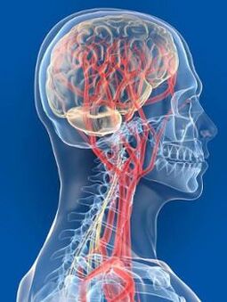 El suministro deficiente de sangre al cerebro es otra causa de presión arterial alta